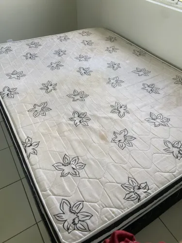 Cama