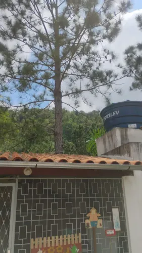 Serviços diversos
