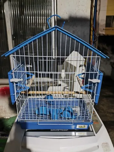 Gaiola
