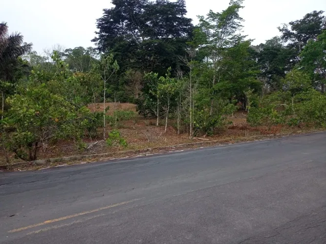 TERRENO À VENDA - KM 38 DA ESTRADA DE NOVO AIRÃO