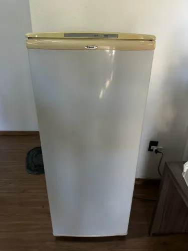 Geladeira Consul Pratice 