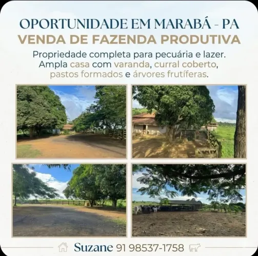 FAZENDA 28 ALQUEIRES EM MARABÁ, CERCADA, CURRAL, 2 CASAS, IDEAL PARA GADO E INVESTIMENTO!