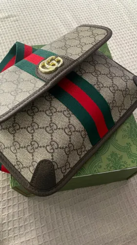 Bolsa Gucci GG Ophidia 