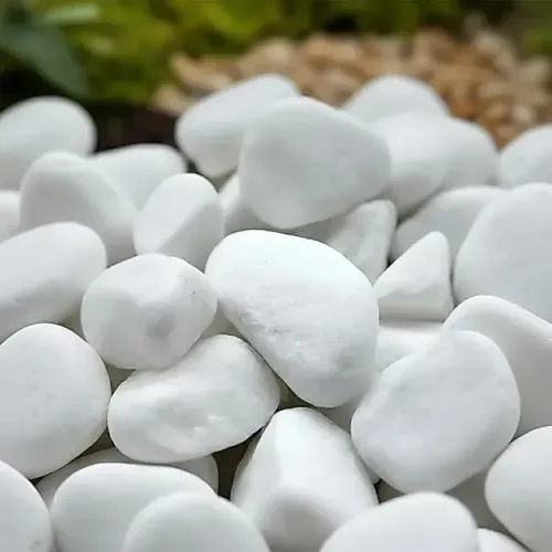 PEDRAS BRANCAS PARA JARDIM