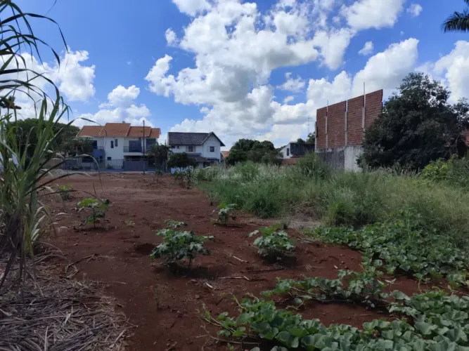 Terreno à venda em Floresta PR