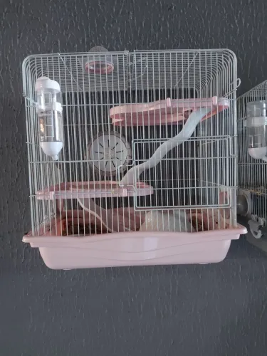 Gaiola para hamster