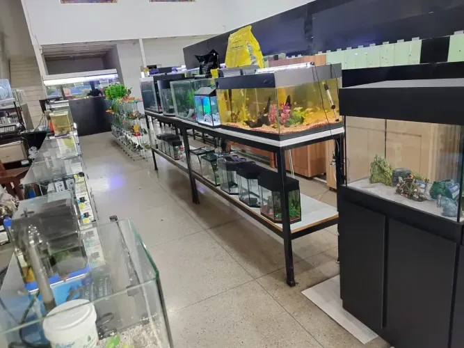 Vendo loja de aquário Jardim América- Peixe, Peixaria e Pesca