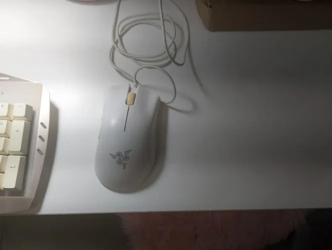 Teclado e mouse 