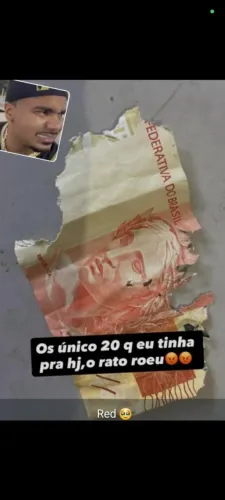 Pneus frisados e pintados para borracheros 