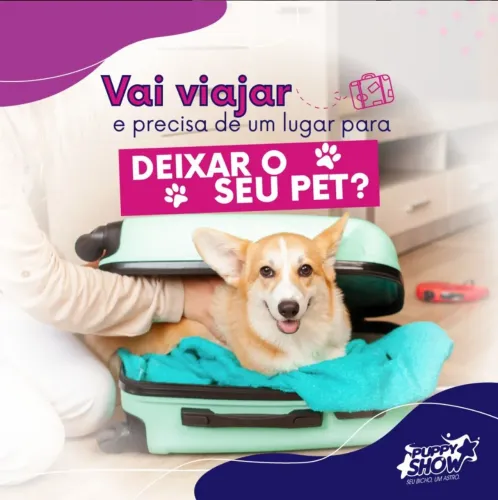 Hotel Pet