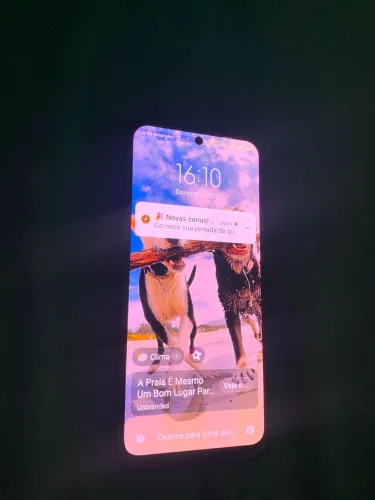 Celular