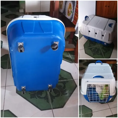 caixa pet