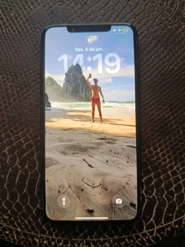 iPhone 11 Pro Max Grafite
