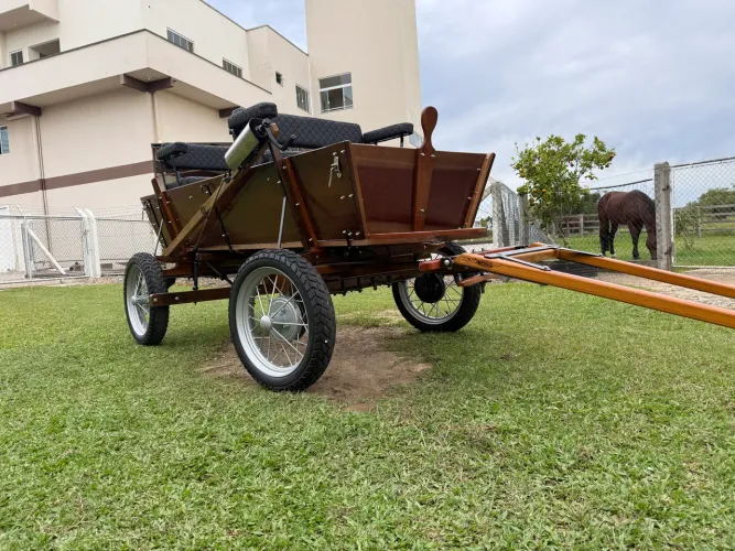 Carroça de Um Cavalo Nova 