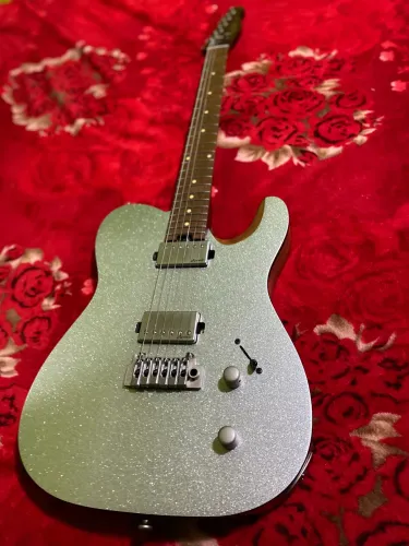 Harley Benton Fusion T HH