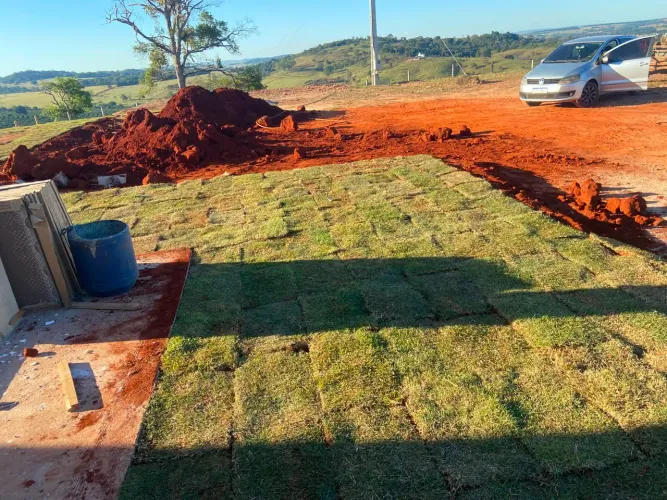 Grama esmeralda direto do produtor com melhor preço da região!