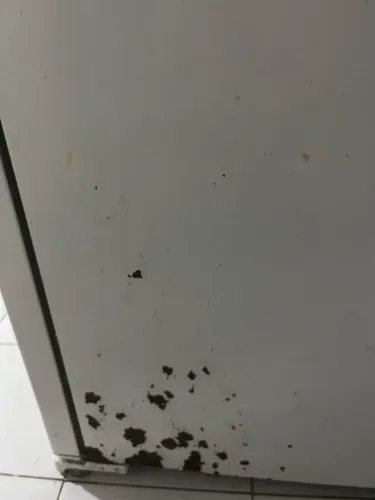 Geladeira Eletrolux DF42