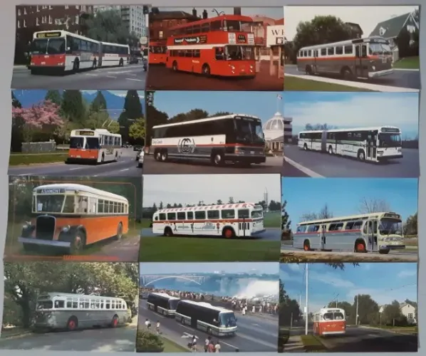 Ônibus - Lote Com 99 Cartões Postais + 1 Foto
