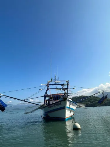 Barco d camarão a venda 