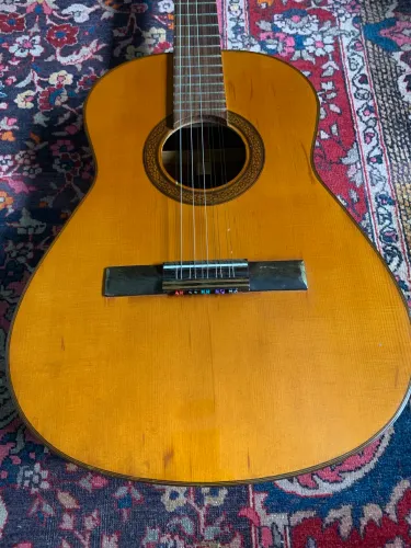 Viola Caipira Giannini
