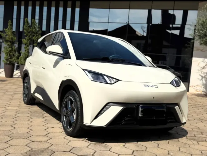 BYD Dolphin Mini (Elétrico) 2024