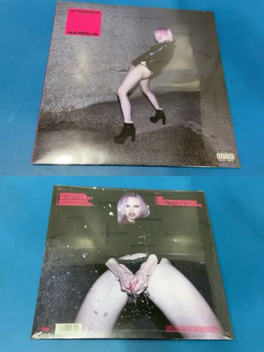 Vinil/LP - ADELA The Provocateur Urban Outfitters