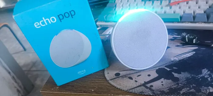 Alexia echo pop