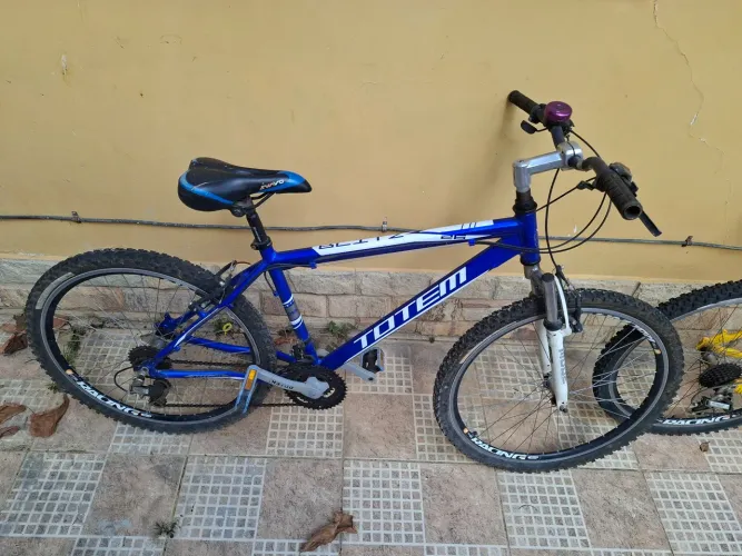 Bicicleta totem