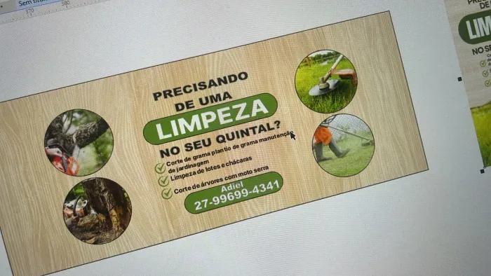 Limpeza de lotes e chácaras poda de árvore limpeza de coqueiro e muito mais