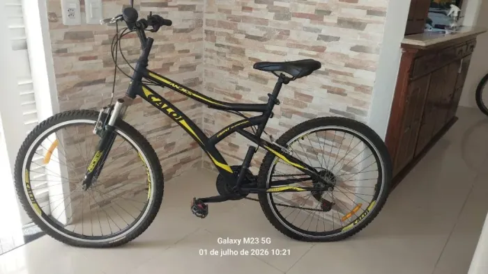Bicicleta