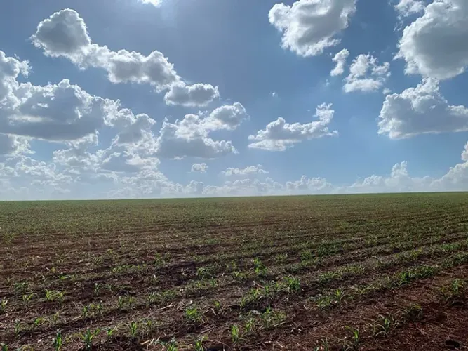 Vend - Fazenda 92 alqueiro