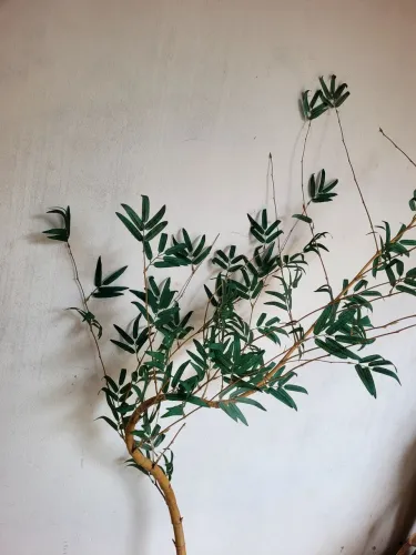 Bambu artificial 