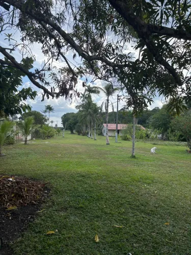 Vendo Sítio no Rio Preto da Eva