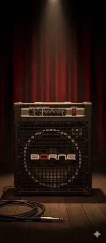 Caixa Borne Contra Baixo 200W - Usada