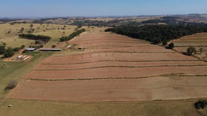 Fazenda de 109 alqueires a venda região de Neropolis-GO