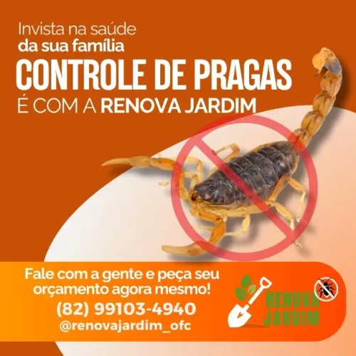 Dedetização e Controle de Pragas