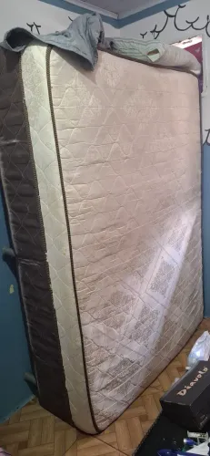 Cama