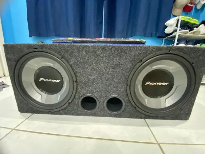 Sub pioneer 12