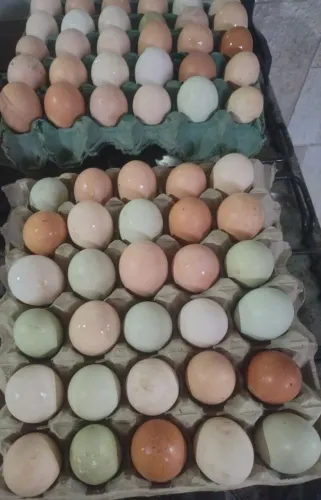 Ovos caipira