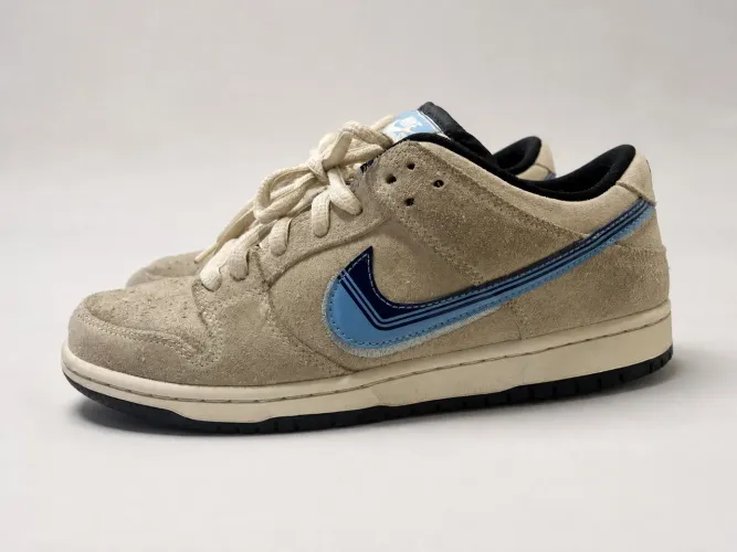 Tênis Nike Dunk Sb 