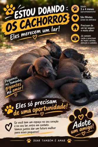 Filhotes para adoção