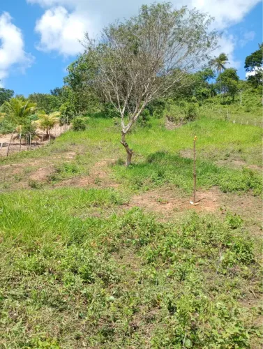 VENDO TERRENO