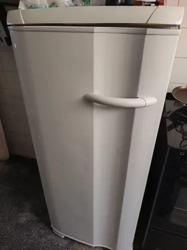 Freezer vertical