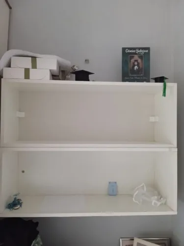 Ninchos em bom estado