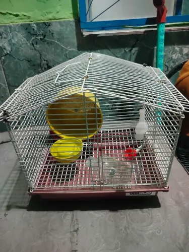 Gaiola hamster