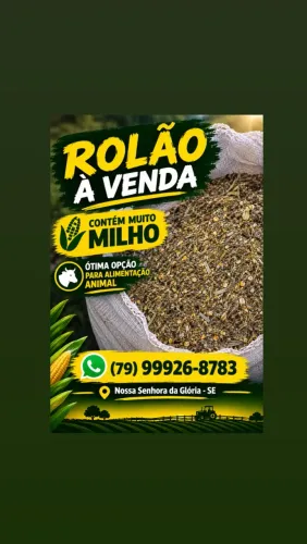 Rolão de milho