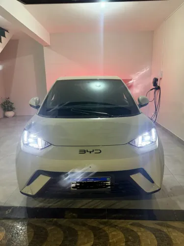 BYD Dolphin Mini (Elétrico) 2027