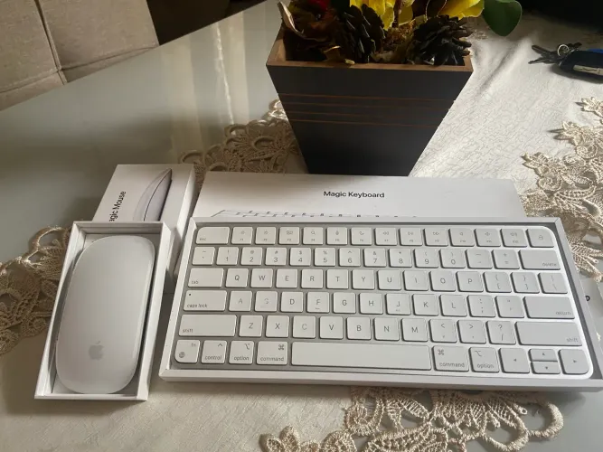 Vendo kit original Apple Magic Keyboard + Magic Mouse