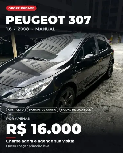 Peugeot 307 Soleil/ Presence 1.6/1.6 Flex 16V 5P 2008