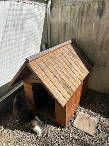 Casinha para cachorro Tamanho G